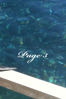 Honeymoon Photos Page 3